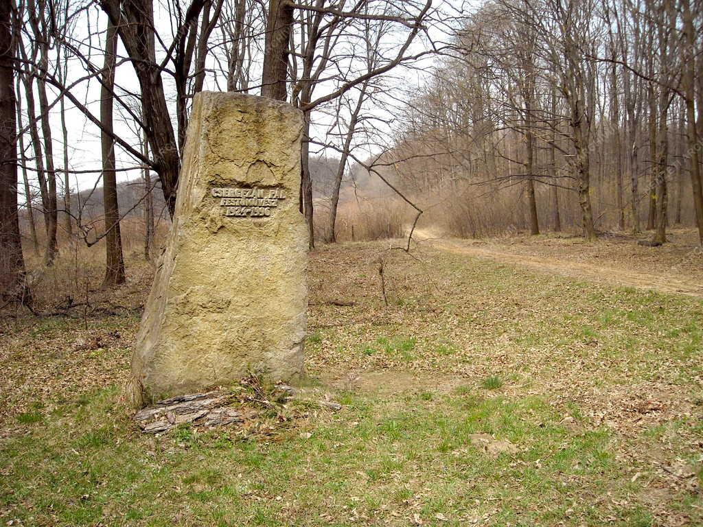 Természet - Sírhely az erdőben