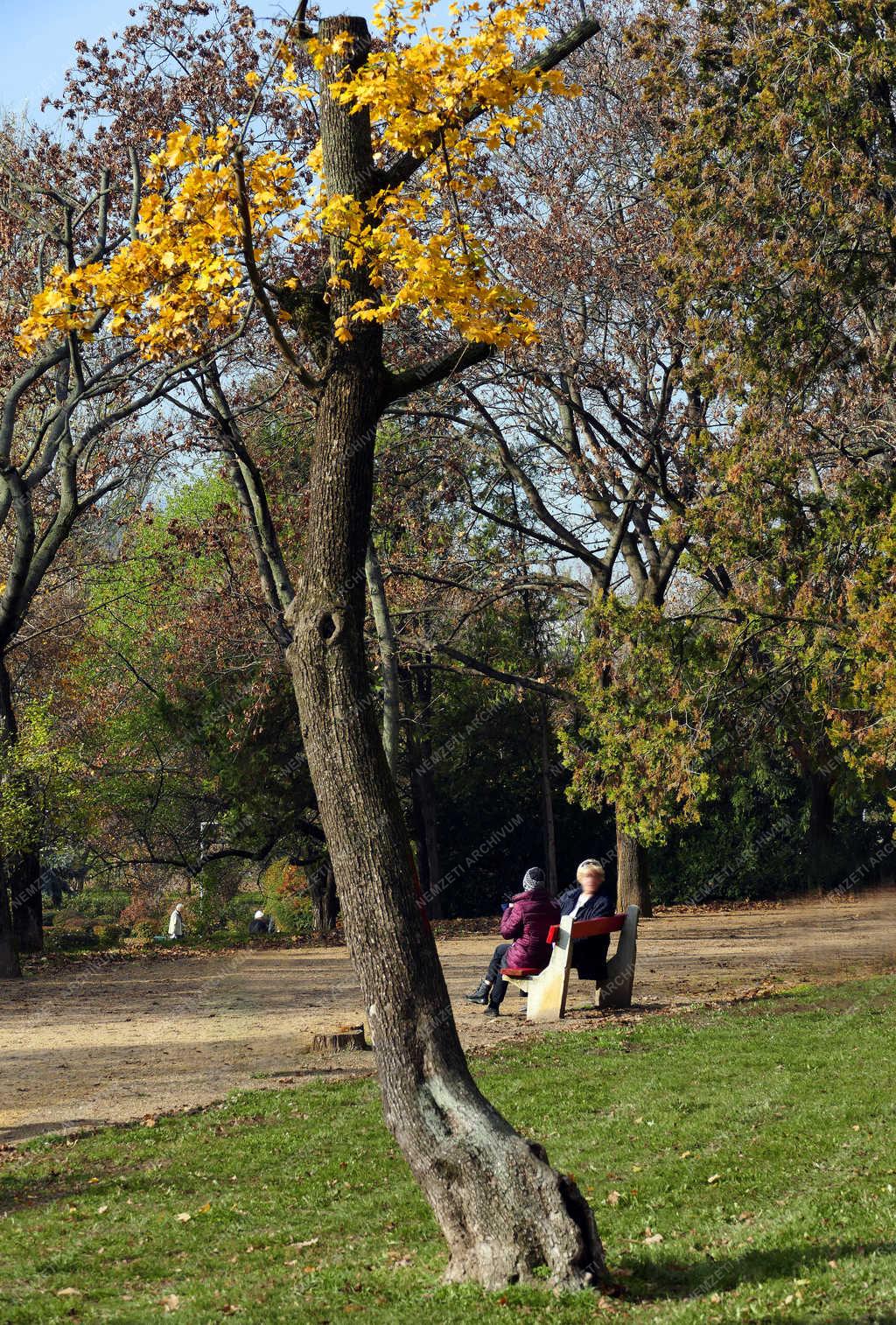 Természet - Budapest - Ősz a Vérmező parkjában