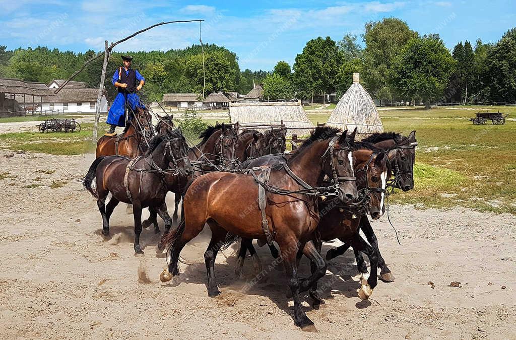 Belföldi turizmus - Kerekegyháza - Csikós ügyességi bemutatója 