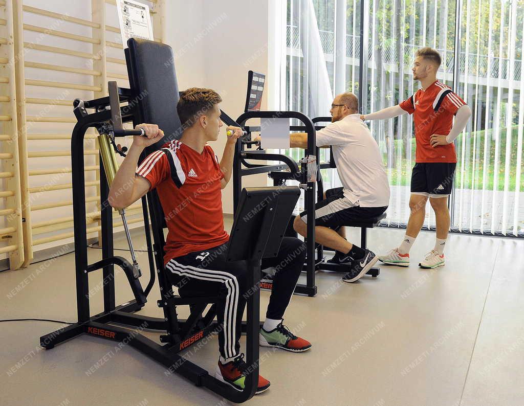 Sport - Debrecen - Sportdiagnosztikai központ