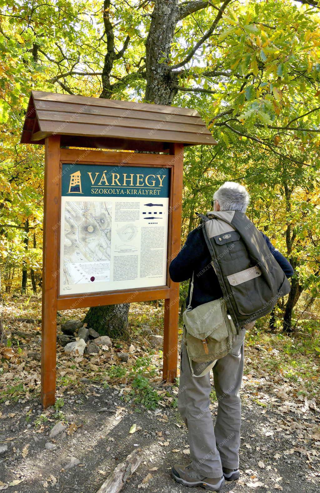 Turizmus - Királyrét - Természetjáró a Börzsöny Várhegyén