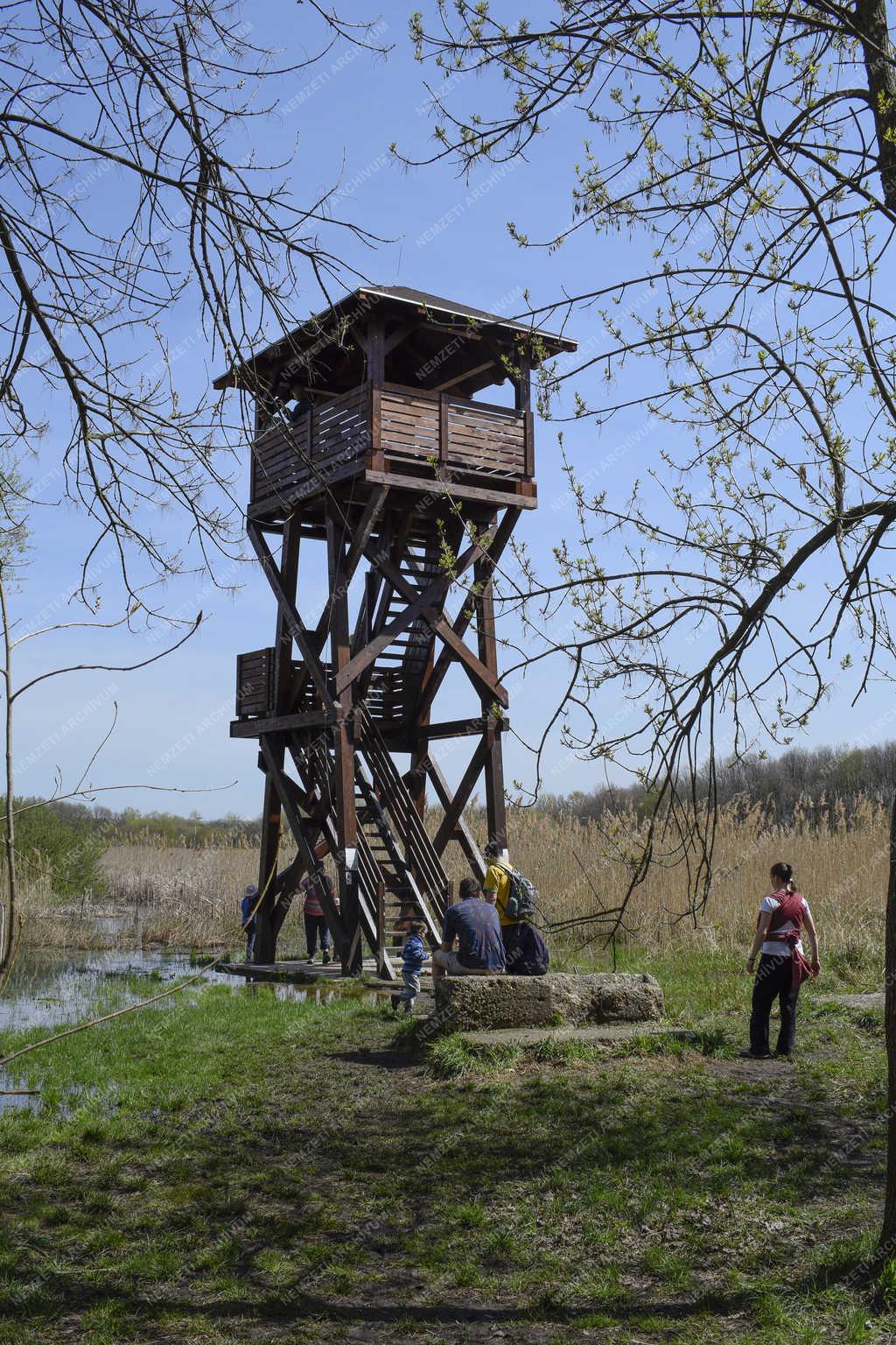 Természet - Budapest - Merzse-mocsár-