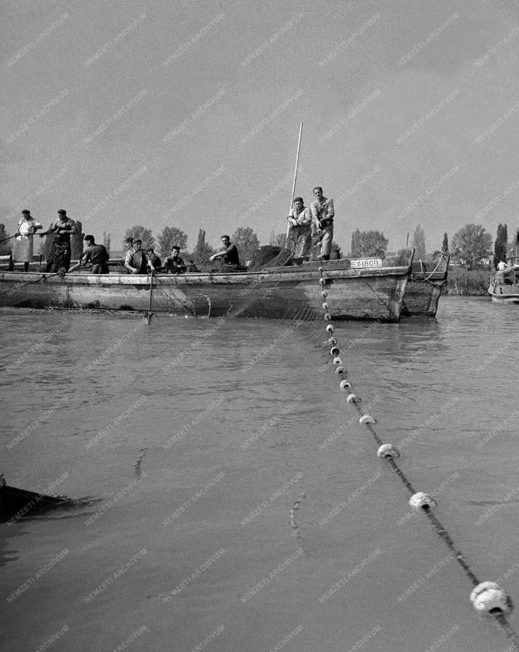 Mezőgazdaság - Őszi halászat a Balatonon