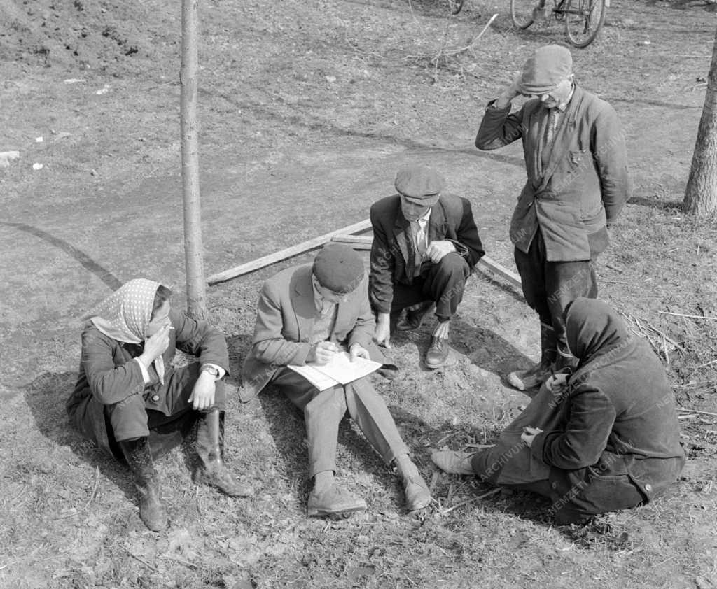 Mezőgazdaság - Üvegházi rózsa és primőr zöldségek a húsvéti ünnepekre