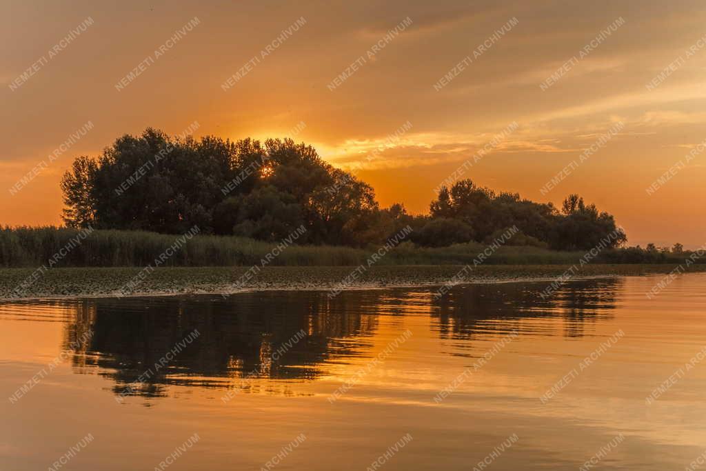 Természet - Tisza-tó