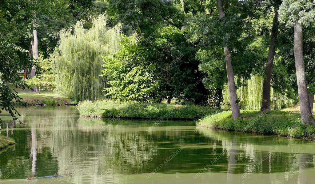 Tájkép - Dég - A Festetics-kastély angolparkja