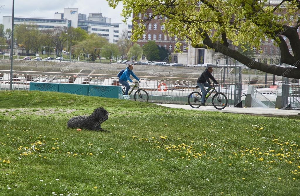 Városkép - Budapest - Nehru part közpark