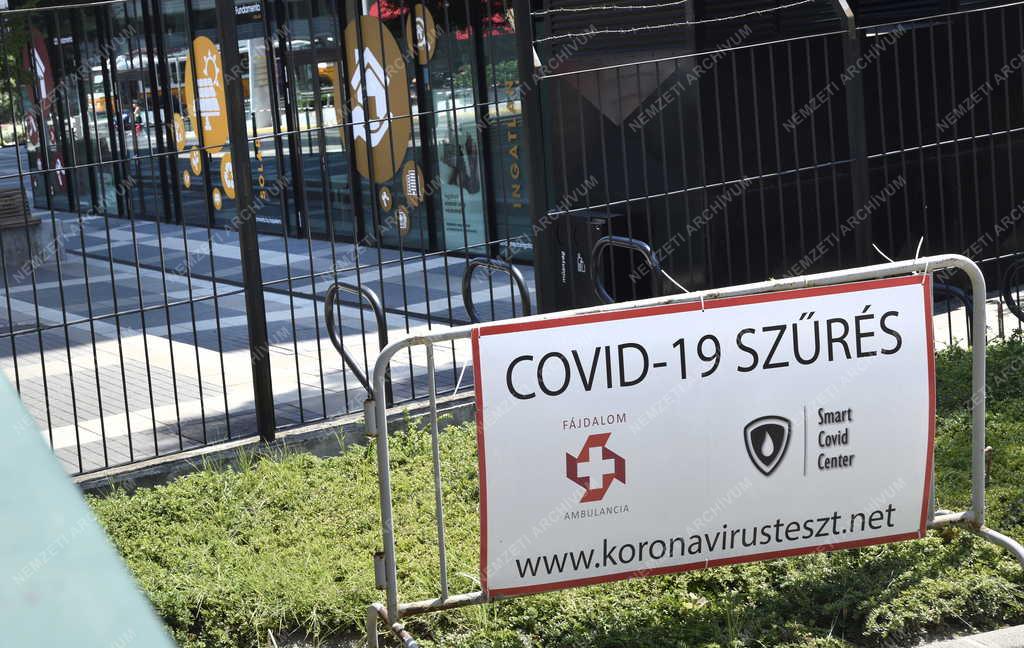 Egészségügy - COVID-19 szűrővizsgálat