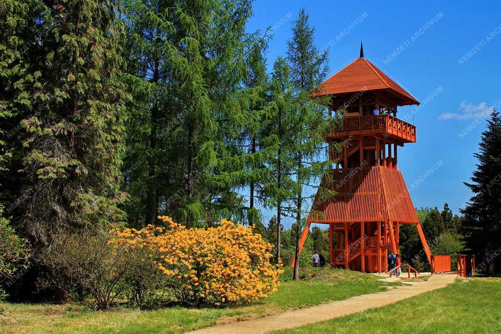 Természet - Kám - Jeli arborétum