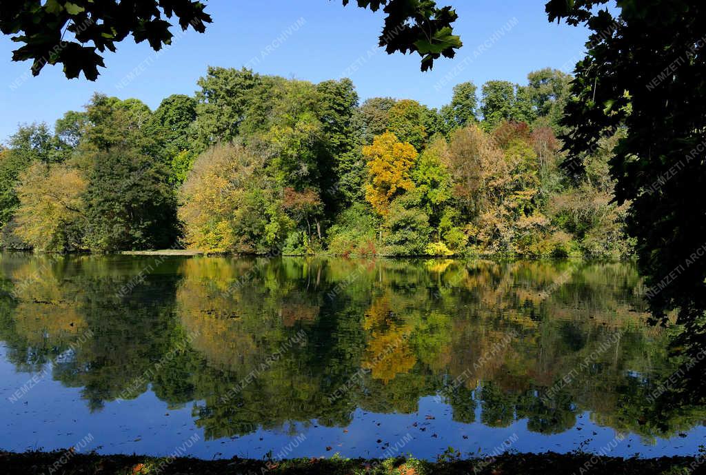  Természet - Martonvásár - Ősz a Brunszvik-kastély parkjában