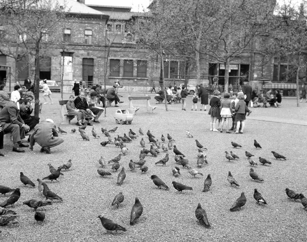 Városkép - Életkép - Budapest - Rákóczi tér