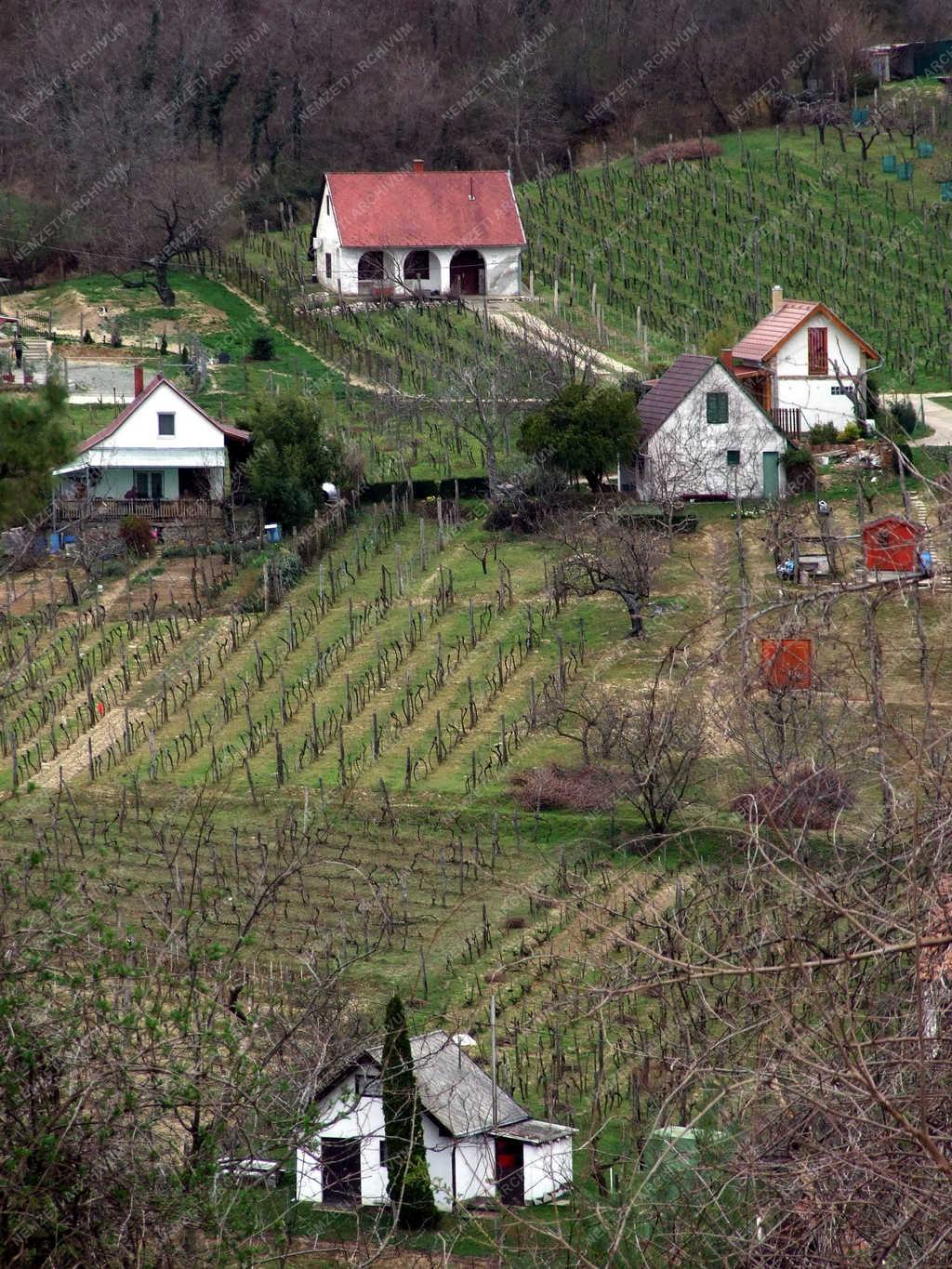  Városkép - Szekszárd - Présházak a borvidéken