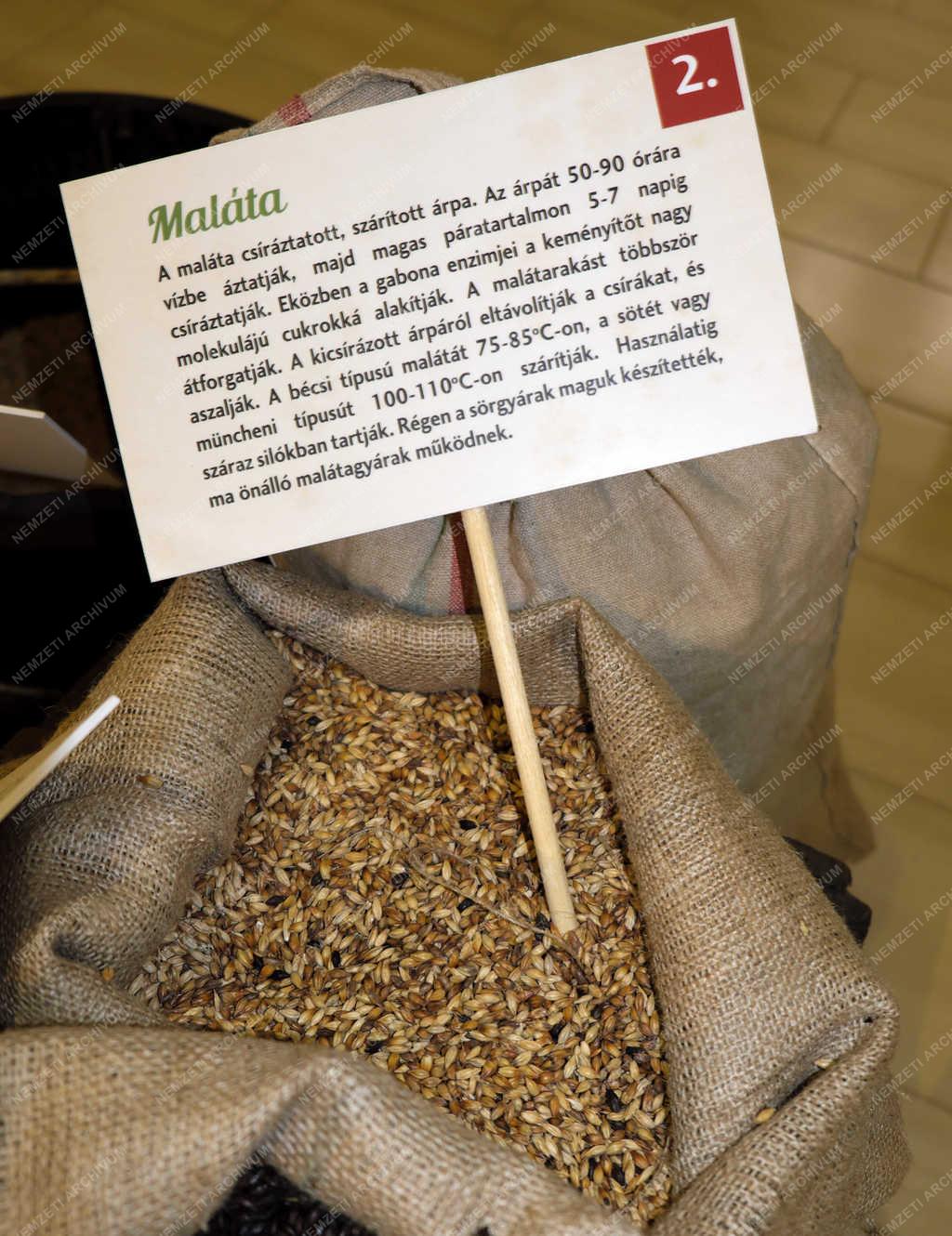 Múzeum - Budapest - Kiállítás a hazai sörfőzésről