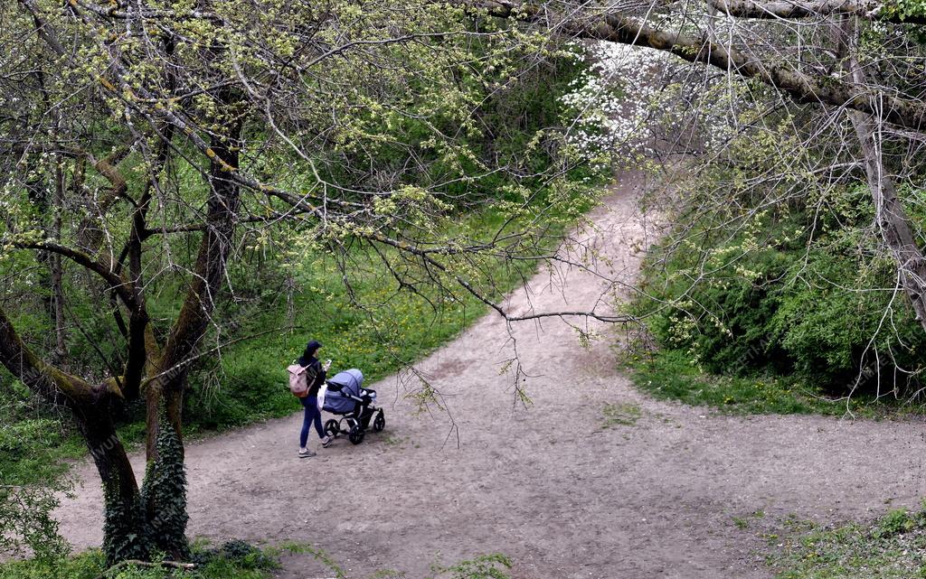 Városkép - Szabadidő - Erzsébet park Gödöllőn