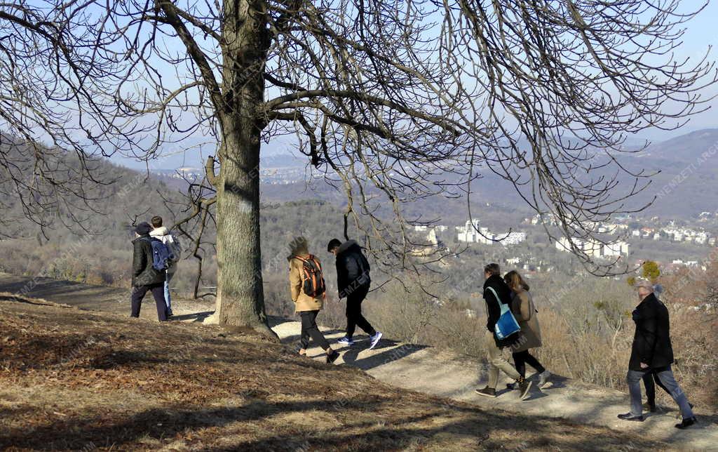 Szabadidő - Budapest - Kirándulók a Normafánál 