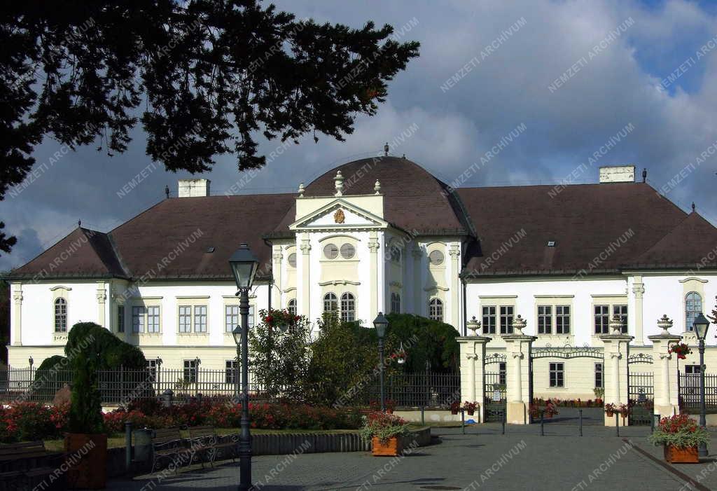 Városkép - Szécsény - Forgách-kastély