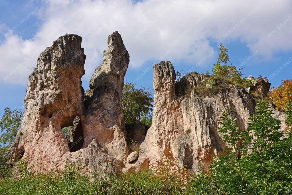 Tájkép - Természet - Teve-szikla Pilisborosjenőnél