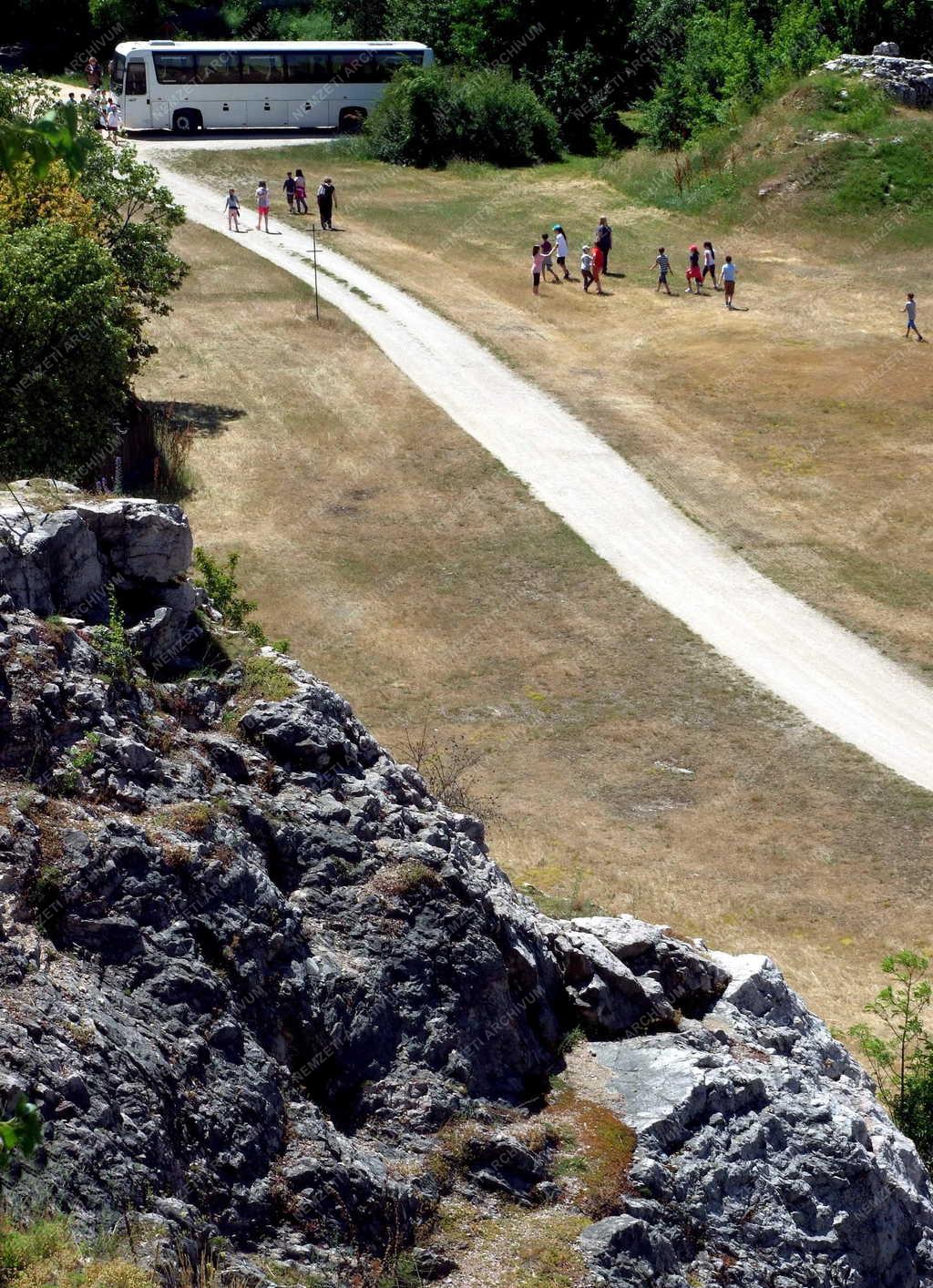 Természetvédelem - Tata - Geológiai múzeum