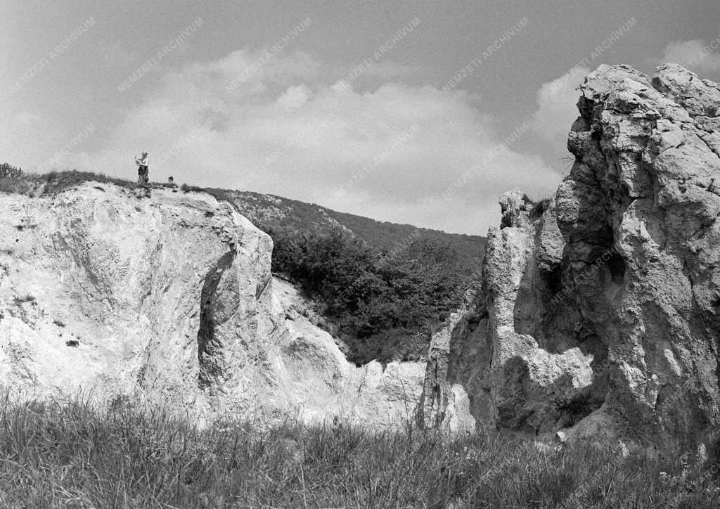 Természet-környezet - A Pilisben