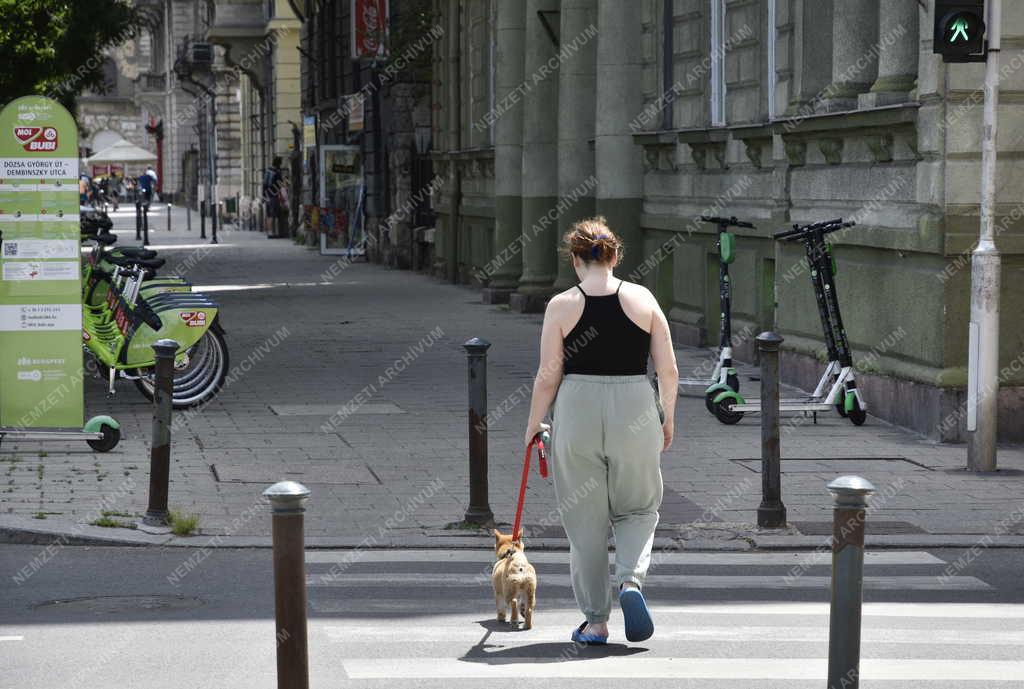 Városkép - Életkép - Budapest - Erzsébetváros