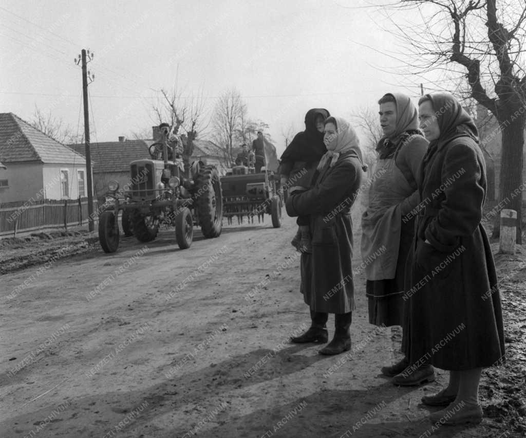 Mezőgazdaság - Erő- és munkagépek a termelőszövetkezeteknek 