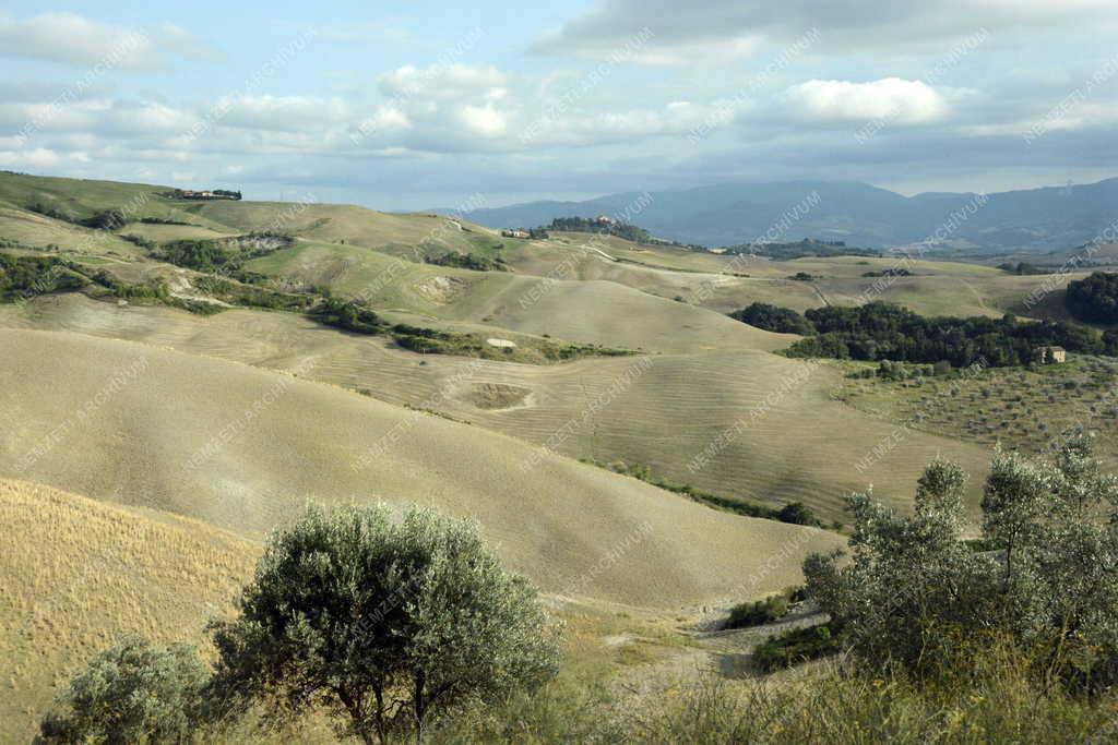 Tájkép - Volterra - Toszkán táj