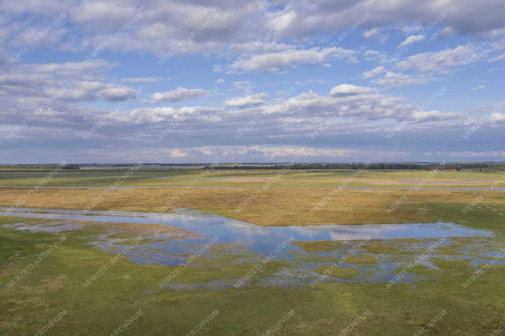 Tájkép - Hortobágy