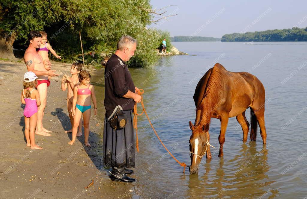 Turizmus - Verőce - Szent Korona Lovastúra