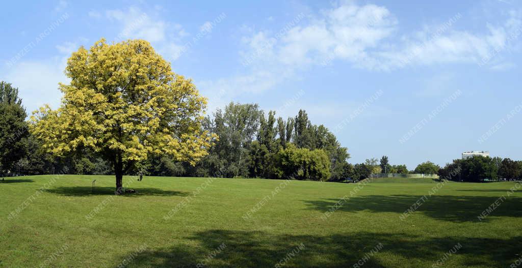 Természet - Budapest - Városliget