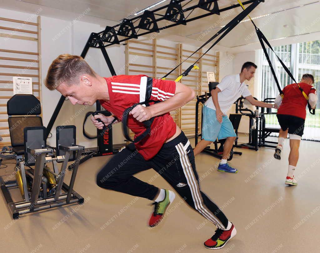 Sport - Debrecen - Sportdiagnosztikai központ