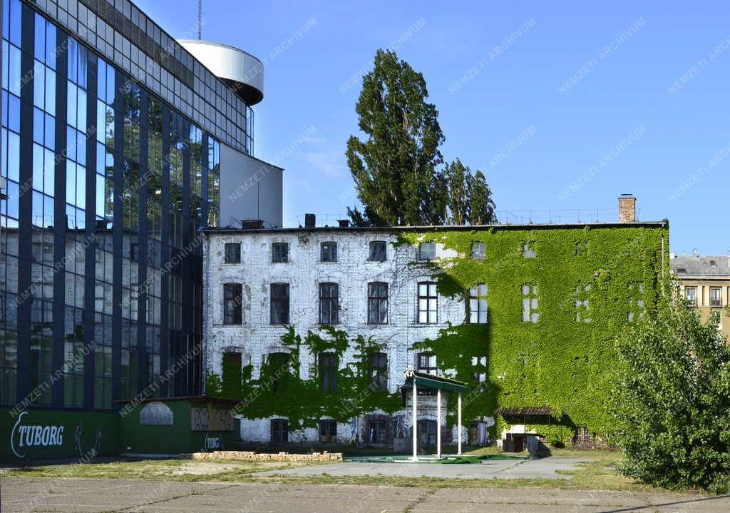 Épület - Budapest - Vadszőlővel benőtt épület