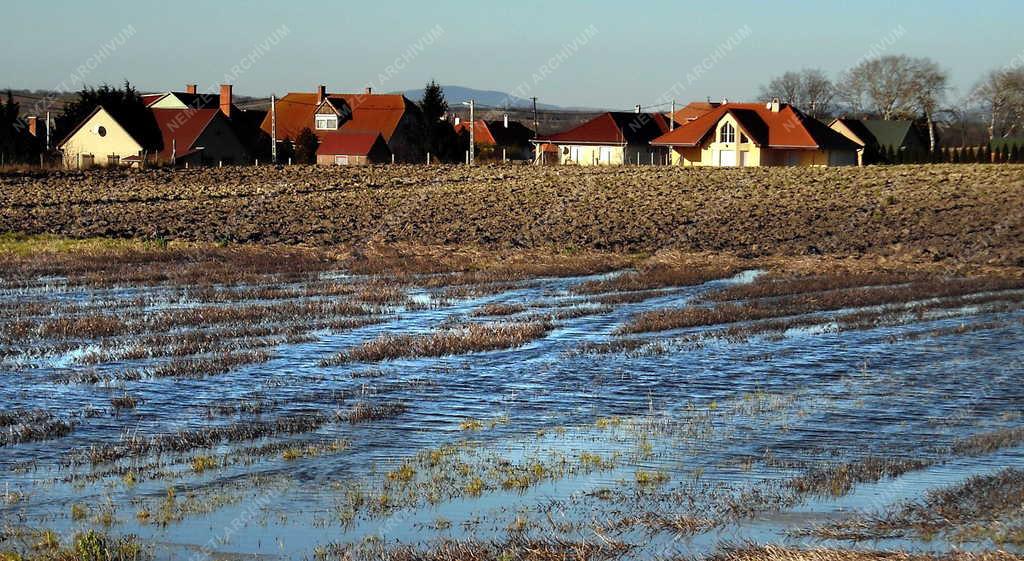 Tájkép - Balatonfőkajár - Belvizes szántóföld