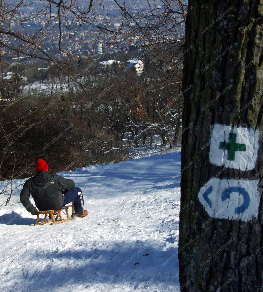 Szabadidő - Budapest - Szánkózók a Normafa lejtőjén