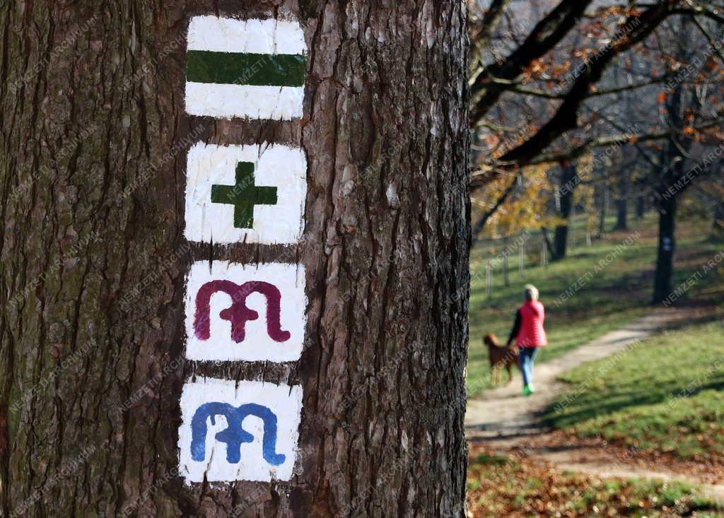 Életkép - Budapest - Turista a Normafánál