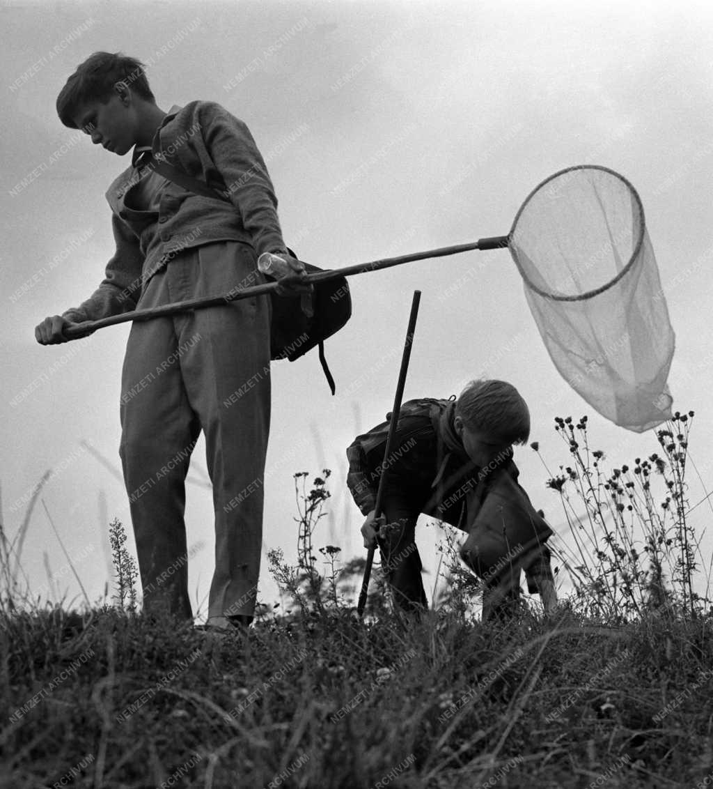 Tudomány - Ifjú természettudós testvérpár Miskolcon