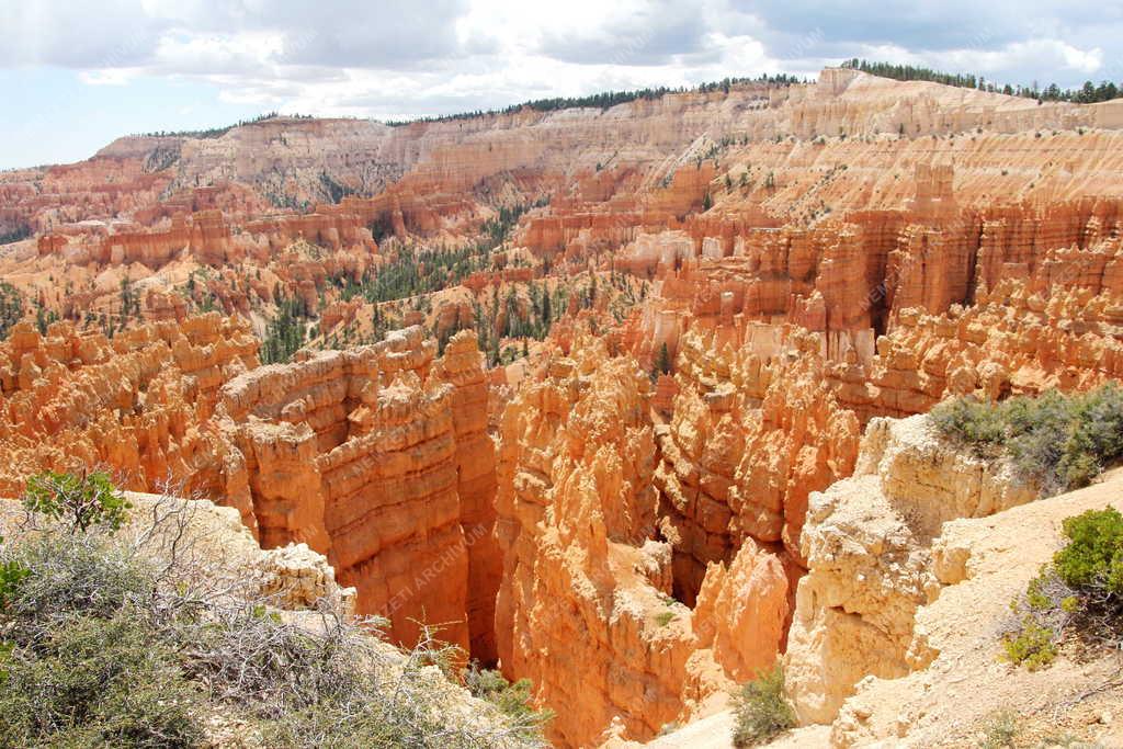 Természet - Sziklaképződmények a Bryce Canyonban