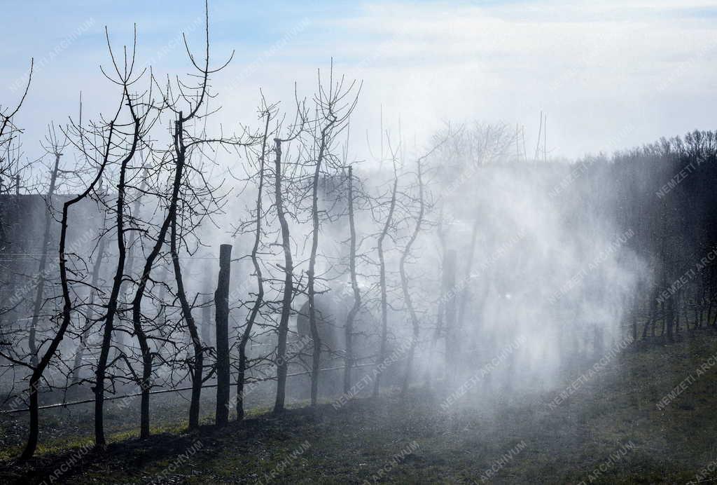 Mezőgazdaság - Tavaszi permetezés a gyümölcsösben Debrecennél