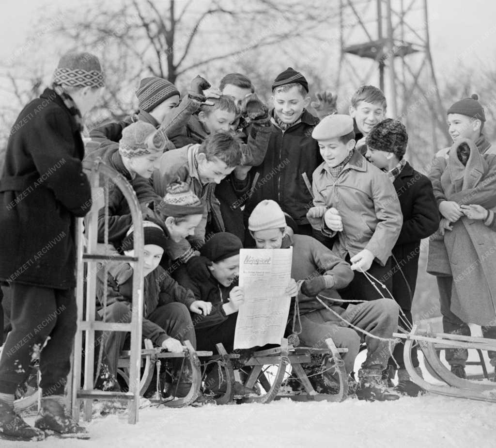 Szabadidő - Sport - Szánkóverseny a Normafánál