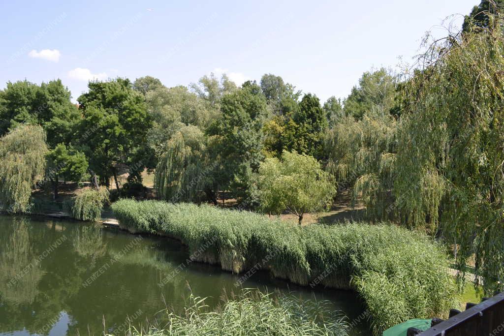 Természet - Budapest - A Mély tó Kőbánya-Újhegyen