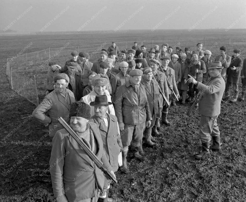 Vadászat - Megkezdték az élővad befogást Szolnok megyében