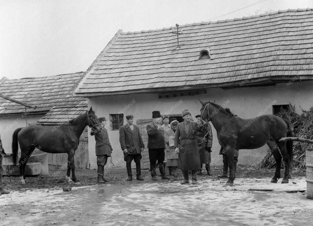 Mezőgazdaság - Új tagok a Héderváry Rózsa Ferenc Tsz-ben