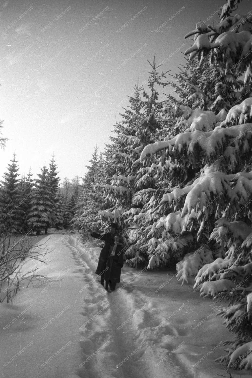 Szabadidő - Kékestető