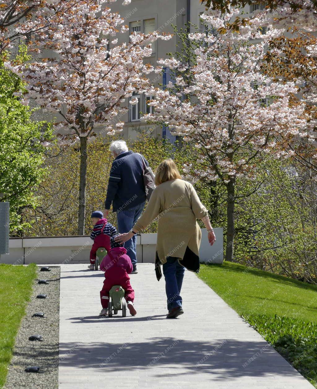 Városkép - Budapest - Millenáris Széllkapu Park