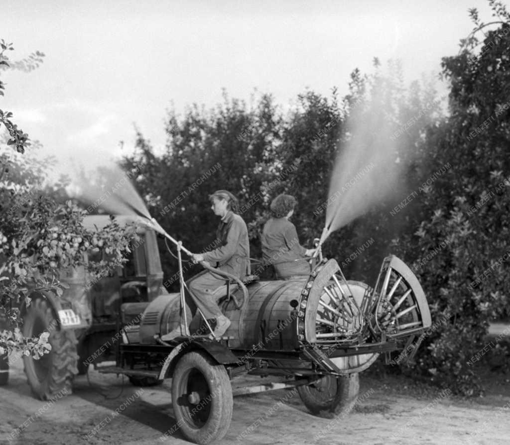 Mezőgazdaság - Kupits-féle nagyteljesítményű motoros permetezőgép