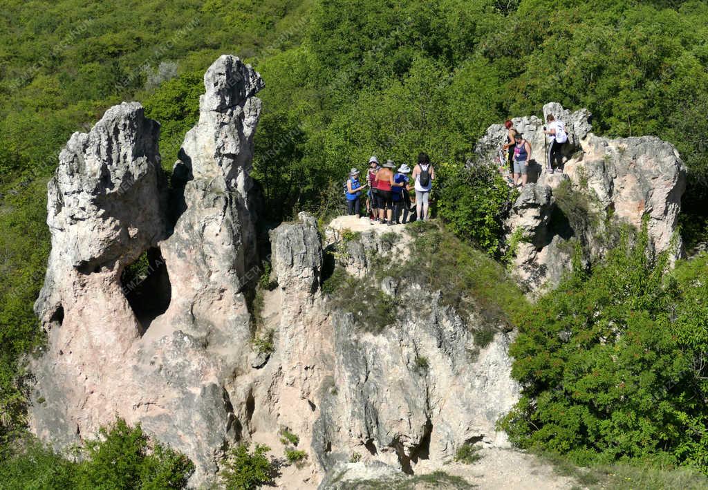 Turizmus – Pilisborosjenő – Látogatók a Teve-sziklánál