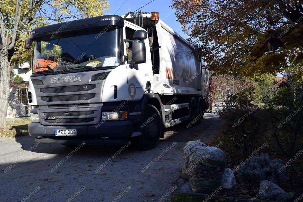 Környezetvédelem - Budapest - Zöldhulladék gyűjtés