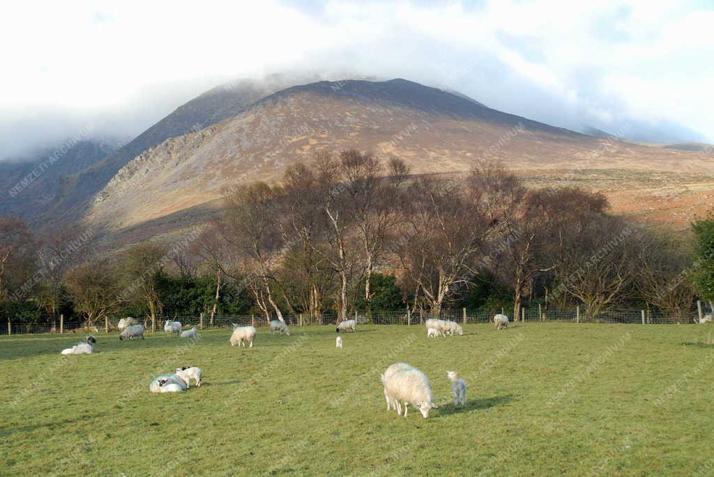 Írország - Carrauntoohil