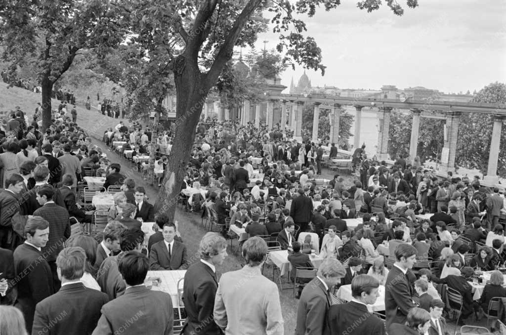 Kultúra - Megnyílt az Ifjúsági Park