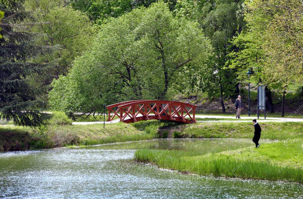 Városkép - Tatabánya - Millenniumi Közpark