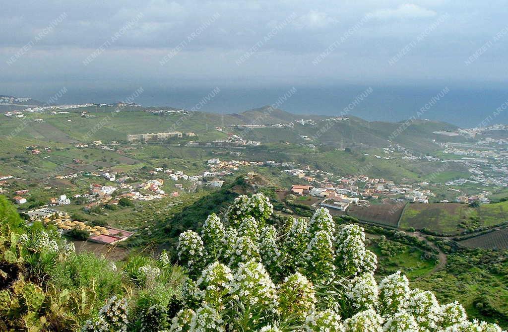 Telde - Gran Canaria szigeti panoráma